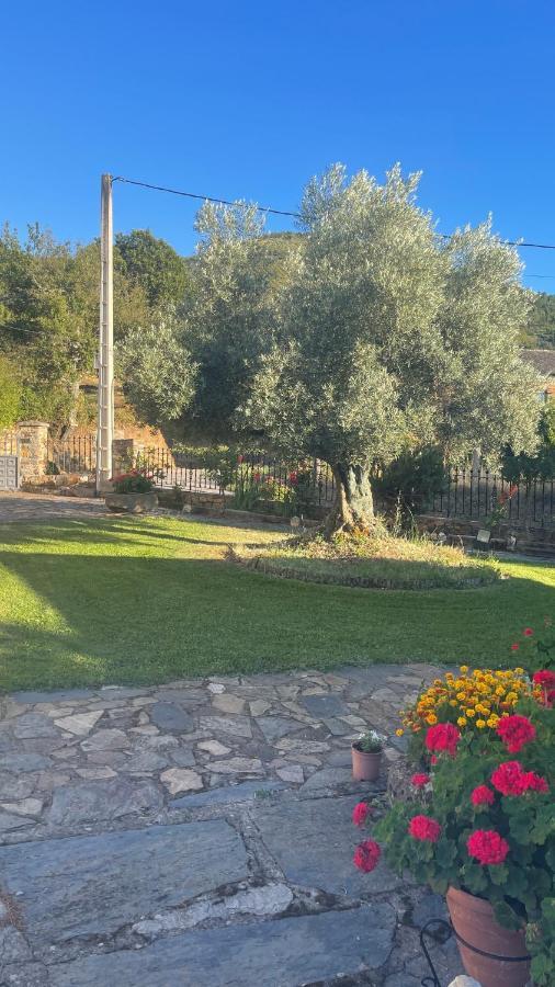 Casa Gelito Villa Espinareda de Vega Kültér fotó